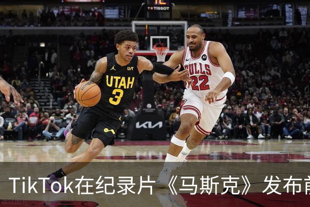 TikTok在纪录片《马斯克》发布前夜禁用广告账户